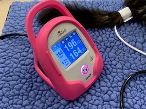 Sistema Monitoramento Veterinário SunTech Vet20 Animais <span class=keywords><strong>Monitor</strong></span> Pressão Arterial <span class=keywords><strong>Animal</strong></span> - Product Image 3