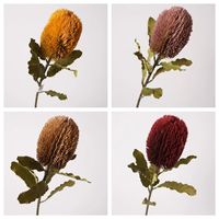 Bunga Banksia Plastik Berkualitas Tinggi, Cabang Besar, Warna Musim Gugur, Gaya Nordik, untuk Pernikahan, Acara & Dekorasi Rumah