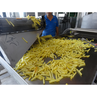 Ligne de production de frites de pommes de terre, machine à fabriquer des chips surgelées, prix de la machine à frites surgelées