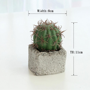 หม้อทรงกระบองเพชรผ้าไหมเทียม,การส่งออกสำหรับ Euphorbia Macetas - Product Image 5