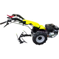 Mini Tractor Agrícola de Dos Ruedas con Diferentes Accesorios: Arado, Arado Rotatorio, Rastrillo