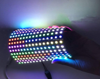 Panel LED Flexible WS2812 SK6812 DC5V WS2812b 8x8 8x32 16x16, Matriz de Píxeles RGB, Pantalla Programable DIY