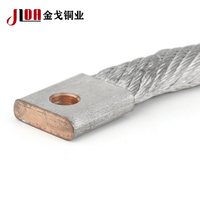 Kawat Tembaga Kepang Berlapis Timah Fleksibel Tipe Busbar 40x800mm Dapat Disesuaikan Merek JLDA Konektor 0-600V