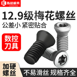 Fraiseuses CNC de qualité 12.9 et vis Torx, avec porte-outils et inserts de coupe-vis – Catégorie de produit : Douilles - Product Image 3