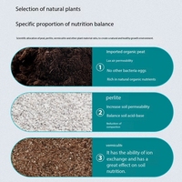 Tanah Peat Nutrisi Organik Universal untuk Tanaman Pot, Tanaman Hijau, Sayuran, Bunga, Sukulen, dan Tanaman Kecil