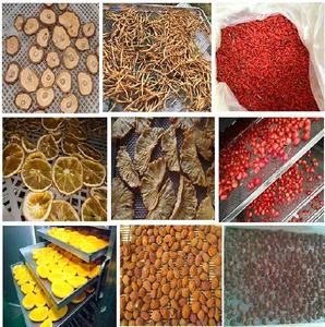 Secadora Solar Doméstica para Cacahuetes, Cacao, Granos de Café, Tomates, Plátanos, Hojas de Moringa, Automática - Product Image 6