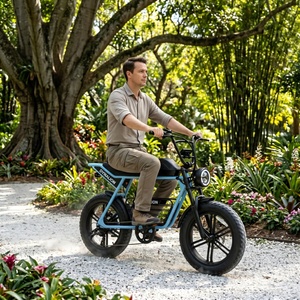 Bicicleta Eléctrica Ecológica con Neumáticos Anchos y Asistencia al Pedaleo Confiable, Bicicleta de Paseo Suave para Recorridos Turísticos Guiados en Jardines Botánicos - Product Image 2