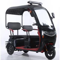 Scooter électrique adulte quatre places 1000W, châssis en alliage d'aluminium, pneus hydrauliques 300-10, tricycle électrique personnalisé.