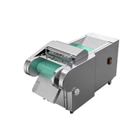 Volautomatische Commerciële Groentesnijder/Multifunctionele Shredder