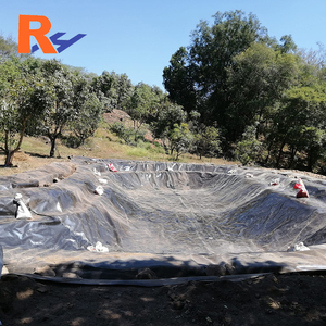 <span class=keywords><strong>Azolla</strong></span> แผ่นซับน้ำสำหรับบ่อน้ำแผ่นบุผนัง HDPE geomembrane สำหรับของเสียและน้ำป้องกันเรดอน - Product Image 2