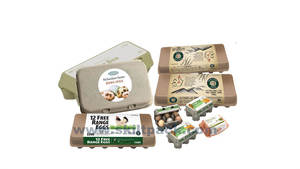 Etiquetadora Eléctrica Profesional para Cajas <span class=keywords><strong>de</strong></span> <span class=keywords><strong>Huevos</strong></span> SKILT, PLC <span class=keywords><strong>de</strong></span> Alta Precisión, Motor Servo Automático, <span class=keywords><strong>Caja</strong></span> <span class=keywords><strong>de</strong></span> Engranajes, Rodamientos <span class=keywords><strong>de</strong></span> Acero Inoxidable - Product Image 6