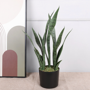 Qihao-Planta de serpiente Artificial pequeña, <span class=keywords><strong>Sansevieria</strong></span> falsa, escritorio, maceta para interior, exterior, hogar, oficina, regalo de calentamiento - Product Image 3