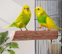 Planche à poser pour oiseaux en bois - Jouet interactif écologique pour les oiseaux pour le repos et le jeu