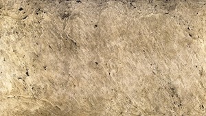 Plaque de placage en pierre translucide gris argenté, finition à diffusion de lumière subtile, pour murs et plafonds rétroéclairés, usage décoratif - Product Image 3