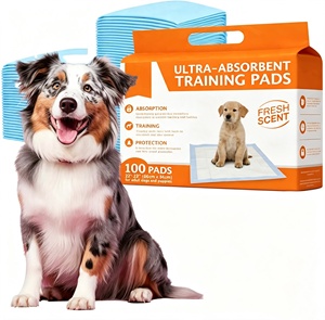 Almohadillas de Entrenamiento para Mascotas de 6 Capas con Núcleo SAP, Paquete de Almohadillas de Entrenamiento para Mascotas, Almohadillas de Entrenamiento Desechables e Higiénicas para Mascotas - Product Image 1