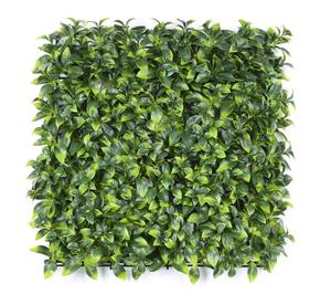 Fabricante chino vertical jardín montaje en pared planta artificial césped artificial alfombra verde musgo decoración - Product Image 3