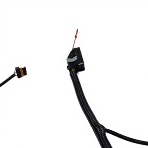 Fiação do Motor E49166000149 para Motor BJ491EQ1, Fiação Automotiva de Alta Qualidade Aceita OEM - Product Image 3