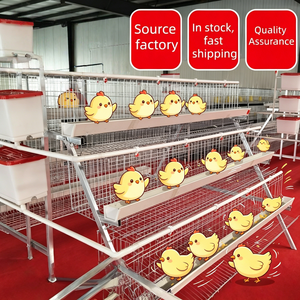 Galvanized Chicken Coop <strong>Cage</strong> H Type Layer Chicken Coop for 200 Birds, Space Saving - Product Image 3