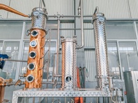 Alambic de distillation ZJ, colonne de distillation, alambic pour whisky, rhum, gin, vodka, brandy, spiritueux, vin, équipement de distillerie, distillateur