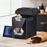 Torréfacteur à café électrique domestique Skywalker Factory Supply, certifié CE, contrôlé par application, en acier inoxydable, économe en énergie, 2e génération
