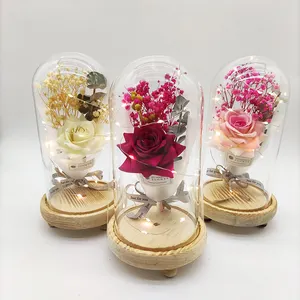 סיטונאי מפעל ישיר מכירה לוהטת לחתונה עיצוב הבית LED אור מלאכותי עלה פרח מתנה ב זכוכית כיפה