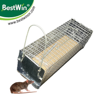 Piège à souris à capture vivante en cage, en treillis métallique galvanisé, avec porte à ressort pour le contrôle des rongeurs à la maison, au jardin et à la ferme