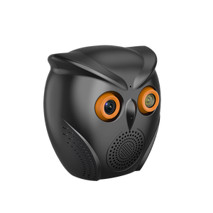 Cámara DE SEGURIDAD IP inalámbrica de 2MP, detección de forma humana en interiores, altavoz inteligente Bluetooth, wifi, cámara AI - Product Image 2