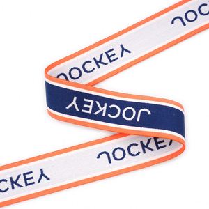 New Innovations Good Price Recycled Spandex/Nylon Jacquard Eco-Friendly Elastic <b>Webbing</b> Custom OEM/ODM - Product Image 6