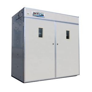 <span class=keywords><strong>5280</strong></span> Gà Trứng Lò Ấp Trứng Tự Động Ấp Trứng Để Bán - Product Image 2