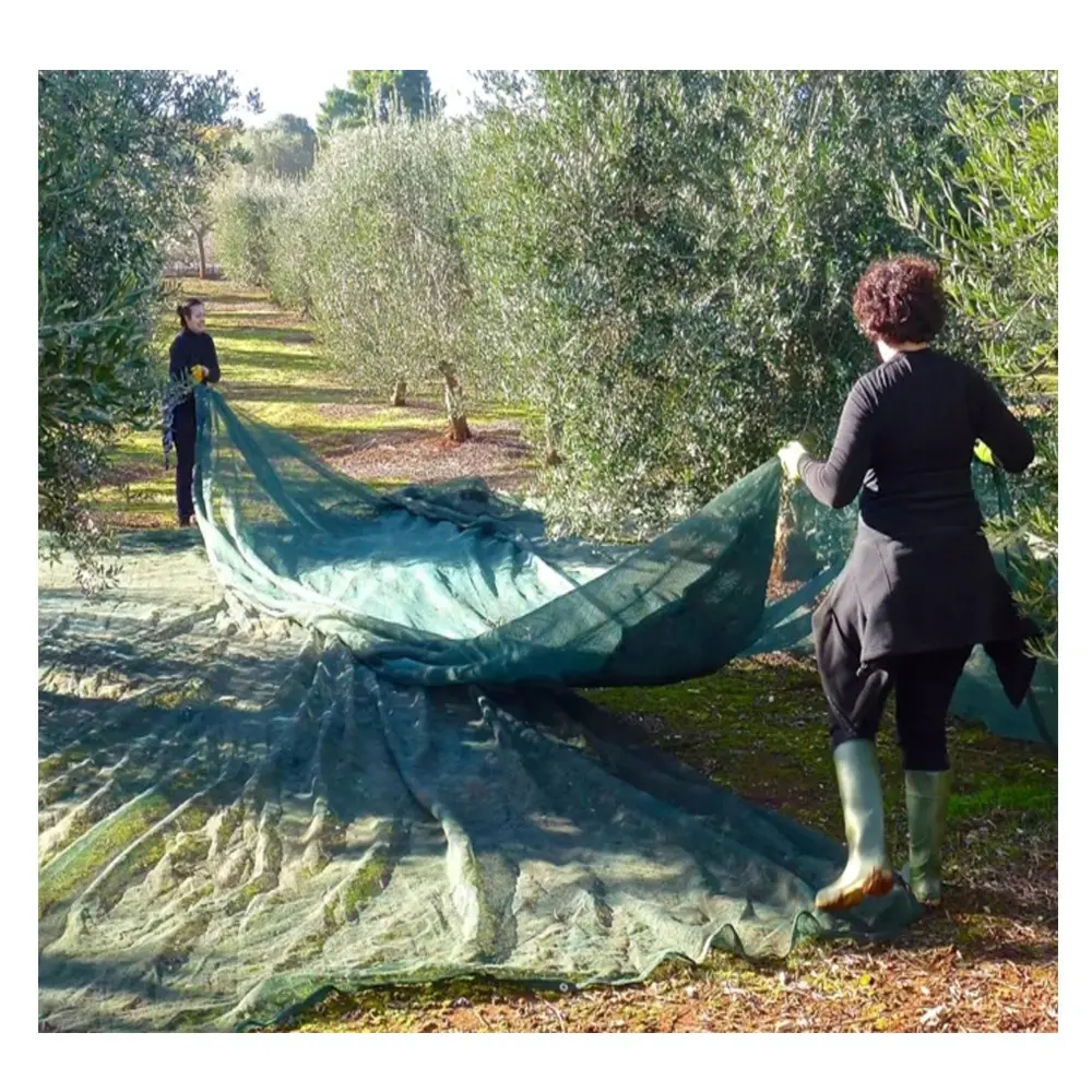 UV Stabilized Nuts Olive Harvest Collection Net