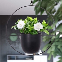 Jardinière murale suspendue en métal de style mid-century pour la maison ou le jardin, pot de fleurs, porte-plantes