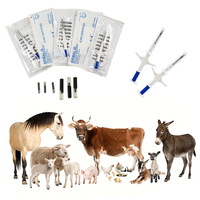 Prix d'usine – Microchip RFID 134,2 kHz pour identification animale avec seringue, puce en verre ISO11784/5 FDX-B, injecteur de microchip pour animaux de compagnie (chien, chat, poisson)