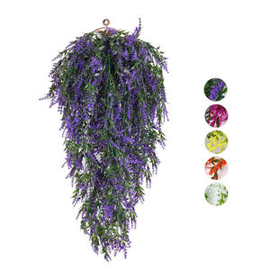 <span class=keywords><strong>Fittonia</strong></span> ห้อย5สาขาสำหรับตกแต่งสถานที่สาธารณะ - Product Image 2