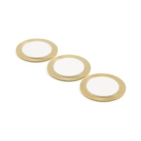 Disque sonore piézoélectrique passif de 20 mm en laiton et céramique, élément sonore 4,0 kHz pour module d'alarme de dispositif anti-perte