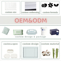 Toallitas Húmedas para Bebé con Logotipo Personalizado, Ecológicas, 80 Unidades, Tela No Tejida Spunlace, Sin Fragancia, Orgánicas, Naturales, OEM/ODM