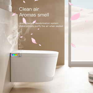 Toilettes automatiques modernes intelligentes monobloc à montage mural avec fonction de lecture de musique télécommandée - Product Image 5