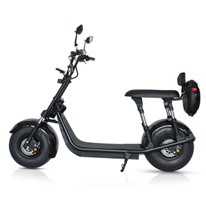 Scooter tout-terrain H4, livraison gratuite en Hollande - Product Image 5