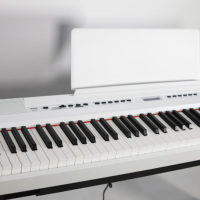 Piano numérique portable Beisite S-194, prix d'usine, 88 touches, clavier d'orgue électrique professionnel, batterie rechargeable intégrée
