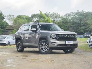 GWM Haval Big Dog PLUS 6.2s Accélération Faible consommation Tout-terrain SUV Véhicules Essence Essence Voitures - Product Image 1