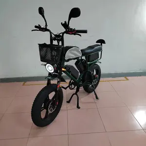 52V Electric Bike Dual Motor Dual Battery 2000W 44Ah Strong Suspension Hydraulic Brake Stab Proofed Tire 65kmh Electric E Bike