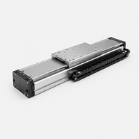 Module de moteur linéaire à entraînement magnétique écoénergétique avec haute précision pour équipement CNC