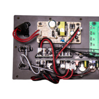 Module amplificateur de haut-parleur actif de haute qualité Subwoofer 40W Module amplificateur Audio carte amplificateur