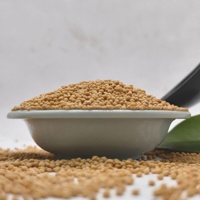 Graines de moutarde jaunes séchées 500g Nouvelle Arrivée - Assaisonnement pour Barbecue, Cuisine Occidentale, Sushi, Nouilles Froides et Plats Froids