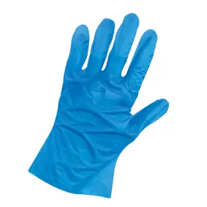 Disposable Gloves Latex Free Powder Free Food Grade TPE Gloves for Food Handling