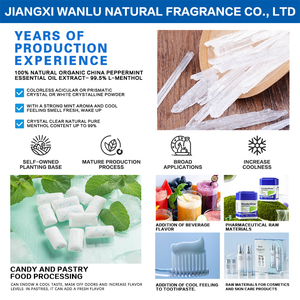 ขายส่งในสต็อก FCC L-เมนทอล CAS: 2216-51-5 รับประกันคุณภาพ เมนทอลเกรดอาหาร ผลึกเมนทอล กลิ่นมิ้นท์ ราคาดีที่สุด - Product Image 4