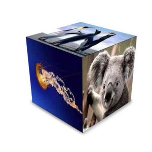 Écran LED Cube Personnalisé Intérieur/Extérieur 5 4 Faces pour Publicité Commerciale Écran LED Cube Forme Irrégulière Écrans LED à Vendre - Product Image 1