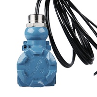 Capteur de niveau d'eau liquide hydrostatique 50m 100m pour forage de puits profond 0-5v 0-10v transmetteur de capteur de niveau d'eau de pluie lcd