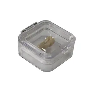 Denture Art Lab Clear Plastic Membrane Box Dental Crown Box with a film