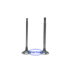 Pour moteur OM366.907 pièces automobiles soupape de moteur A3660500326 A3660500327 - Product Image 5