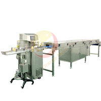 Dates Cacahuète Amande Noix Noix Donut Crème Glacée Mini Petit Enrobage au Chocolat Enrobeur Enrobage Machine Ligne de Production pour la Maison